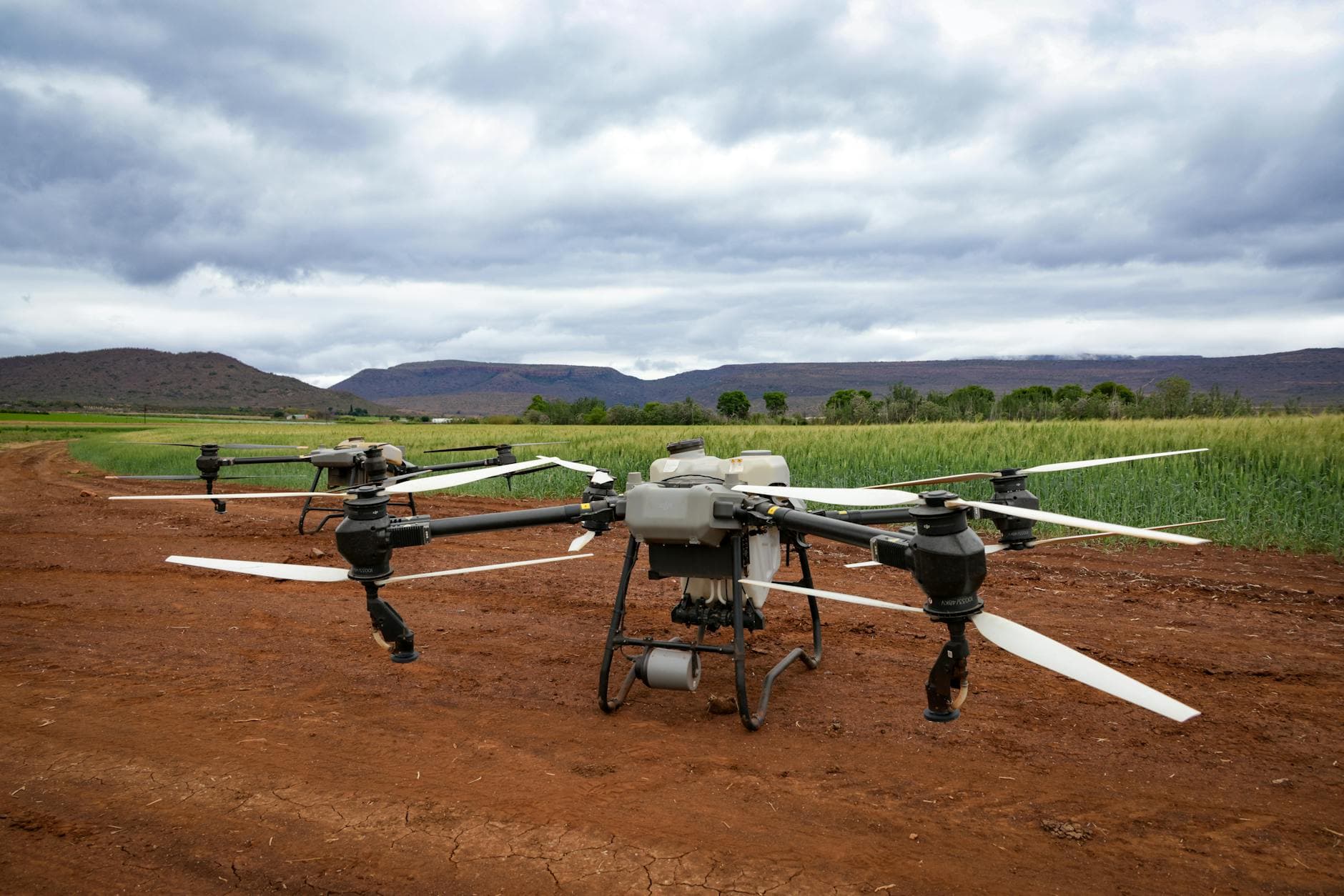 Drone monitoring crops