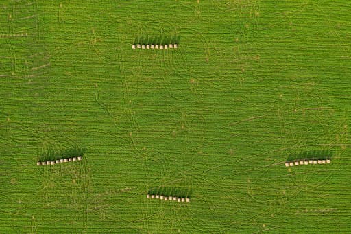Drone monitoring crops