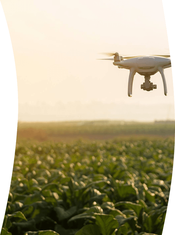 Drone monitoring crops