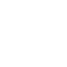 COMMUNITY / VILLAGE : REPORT, REPEL • DISORIENT • DIVERT